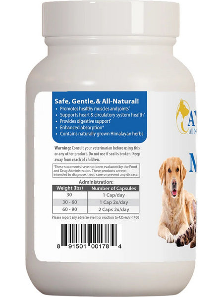 Ayush Herbs, Pet Mobility Curcumin 97%, 90 Capsules