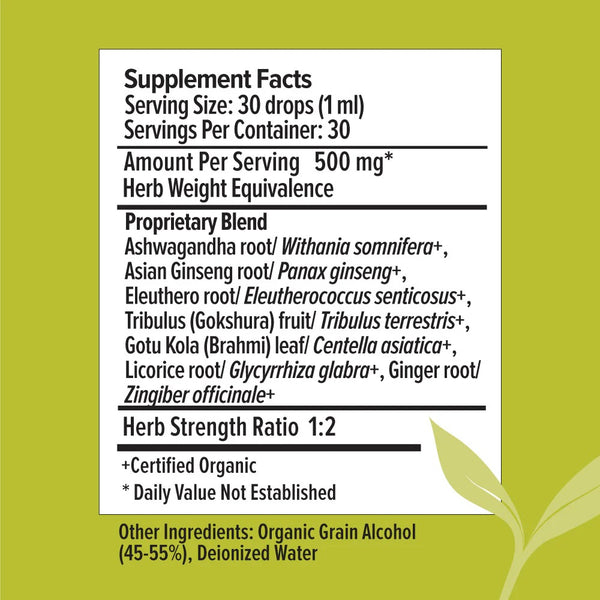 Banyan Botanicals, 7 Herb Energy, Liquid Extract, 1 fl oz