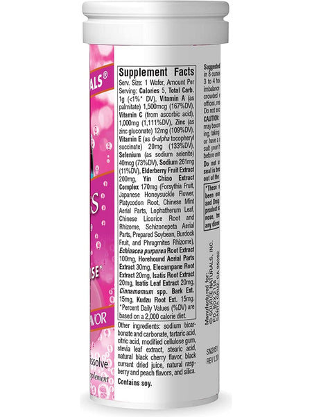 Source Naturals, Wellness Fizz®, Berry, 10 wafers